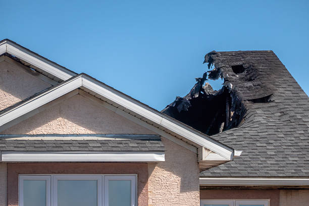Top rated local Fire Damage Removal specialists in Ashburn, VA